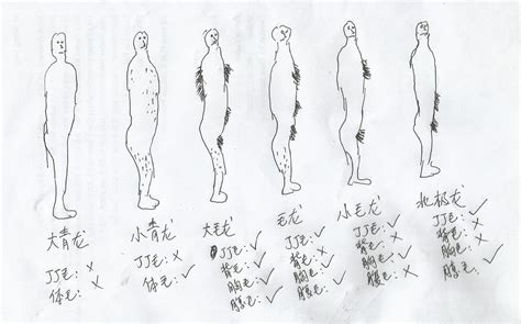 青龙男|给真正的青龙男正名，也给假青龙取个好名